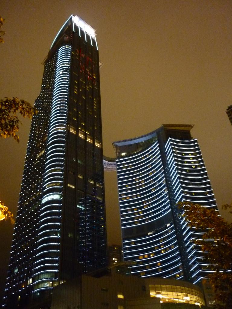 2010_Hong_Kong (81).JPG